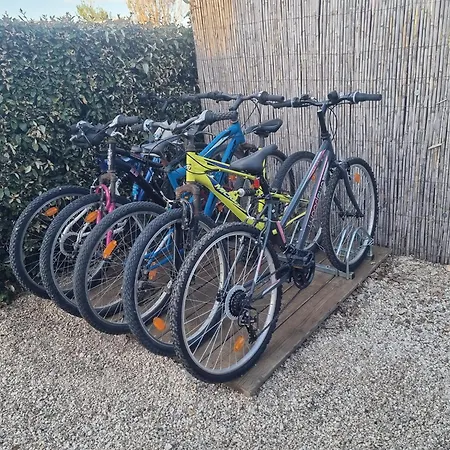 M027 Chez D&d * تورايْ